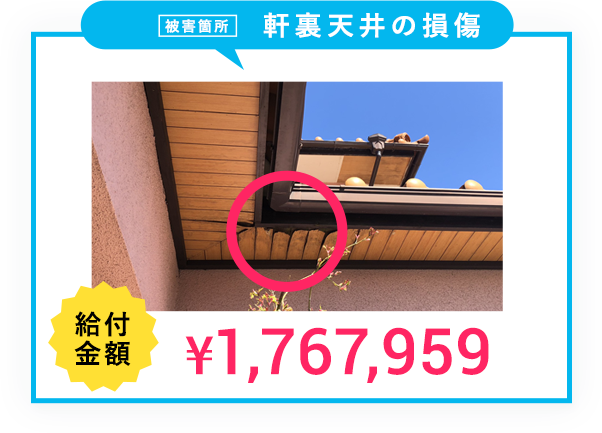 軒裏天井の損傷